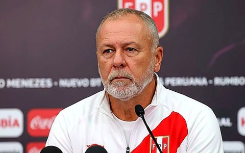 promedio de edad Perú