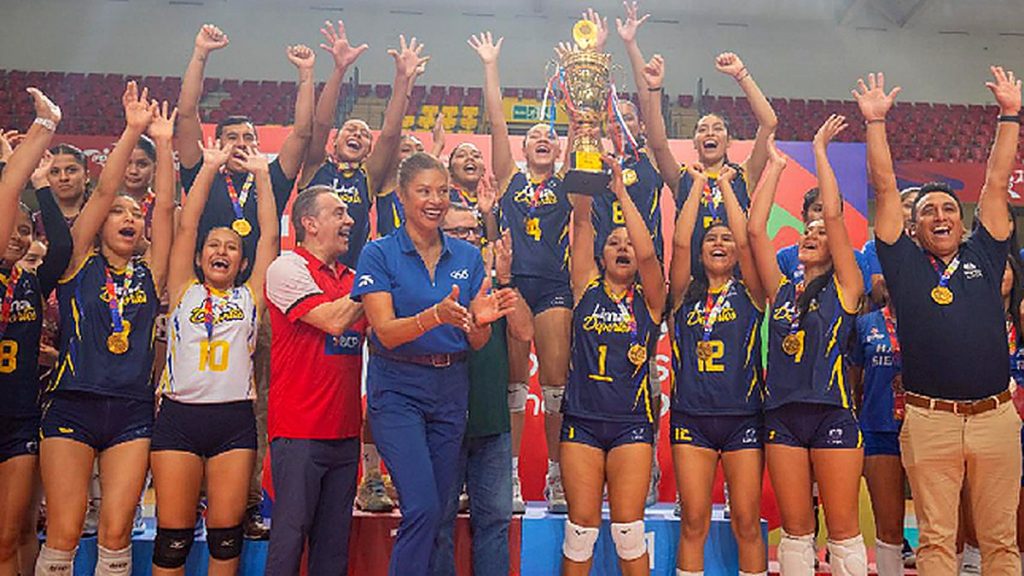 voley